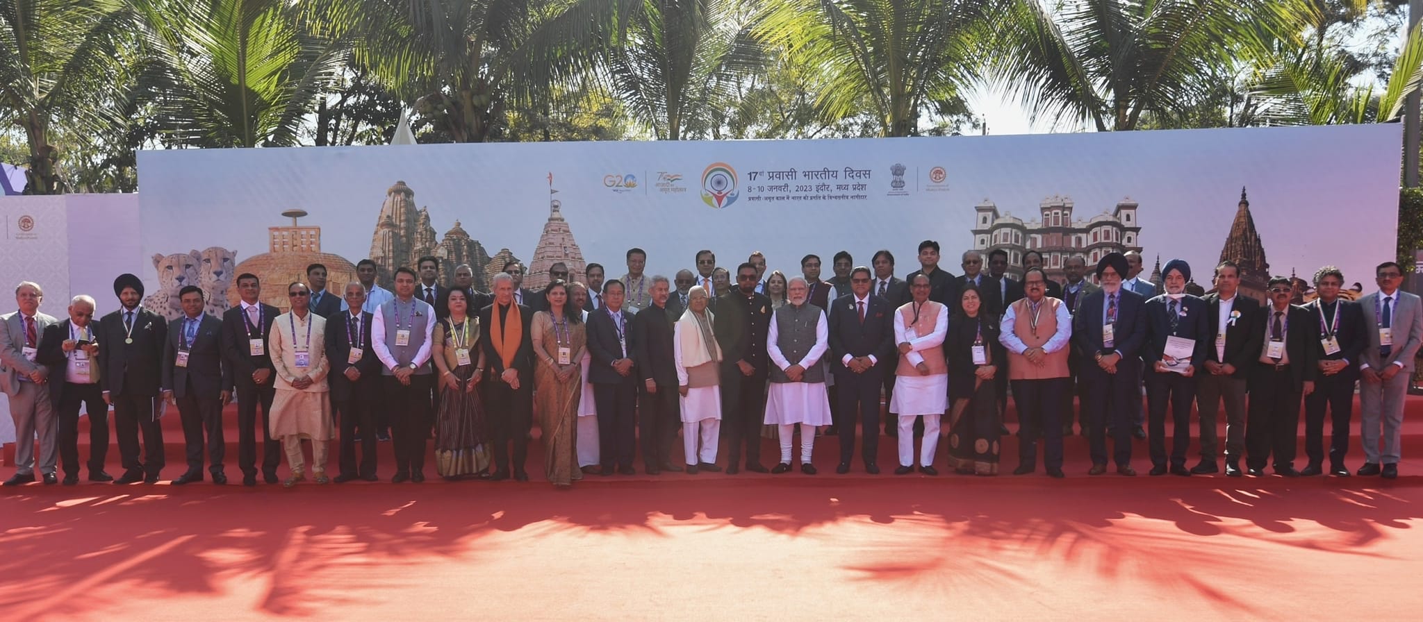 Image hover effect image